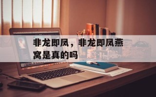 非龙即凤，非龙即凤燕窝是真的吗