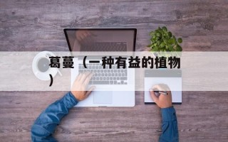 葛蔓（一种有益的植物）