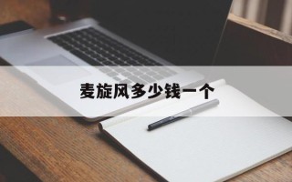 麦旋风多少钱一个