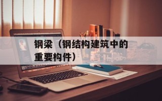 钢梁（钢结构建筑中的重要构件）