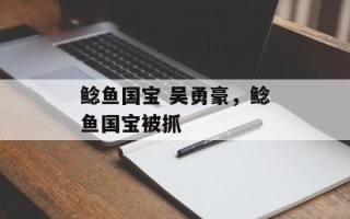 鲶鱼国宝 吴勇豪，鲶鱼国宝被抓
