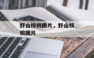 野山核桃图片，野山核桃图片