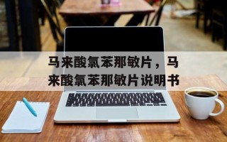 马来酸氯苯那敏片，马来酸氯苯那敏片说明书