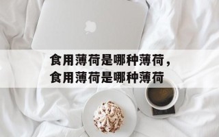 食用薄荷是哪种薄荷，食用薄荷是哪种薄荷