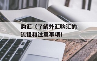 购汇（了解外汇购汇的流程和注意事项）