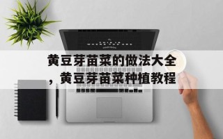 黄豆芽苗菜的做法大全，黄豆芽苗菜种植教程