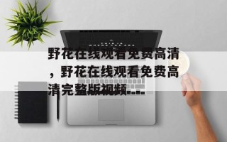 野花在线观看免费高清，野花在线观看免费高清完整版视频
