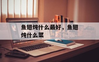 鱼翅炖什么最好，鱼翅炖什么菜
