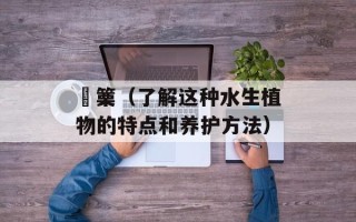 觱篥（了解这种水生植物的特点和养护方法）