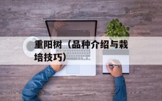 重阳树（品种介绍与栽培技巧）