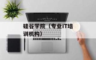 硅谷学院（专业IT培训机构）
