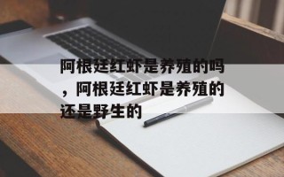 阿根廷红虾是养殖的吗，阿根廷红虾是养殖的还是野生的