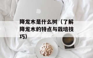降龙木是什么树（了解降龙木的特点与栽培技巧）