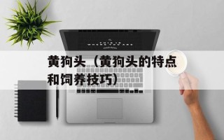 黄狗头（黄狗头的特点和饲养技巧）