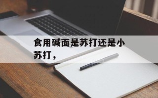 食用碱面是苏打还是小苏打，