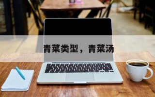 青菜类型，青菜汤