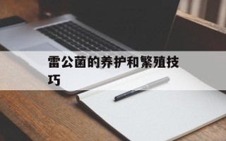 雷公菌的养护和繁殖技巧