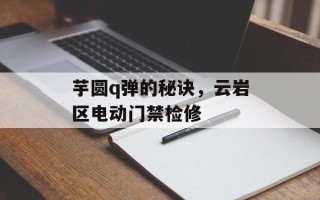 芋圆q弹的秘诀，云岩区电动门禁检修