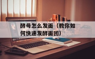 酵母怎么发面（教你如何快速发酵面团）