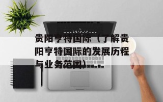 贵阳亨特国际（了解贵阳亨特国际的发展历程与业务范围）