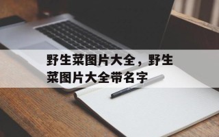 野生菜图片大全，野生菜图片大全带名字