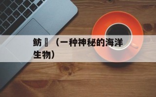 鲂鮄（一种神秘的海洋生物）