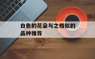 白色的花朵与之相似的品种推荐