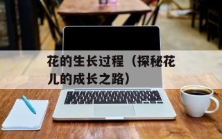 花的生长过程（探秘花儿的成长之路）