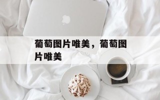 葡萄图片唯美，葡萄图片唯美