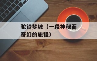 驼铃梦坡（一段神秘而奇幻的旅程）
