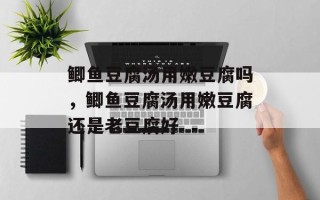 鲫鱼豆腐汤用嫩豆腐吗，鲫鱼豆腐汤用嫩豆腐还是老豆腐好
