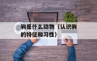 驹是什么动物（认识驹的特征和习性）