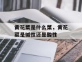 黄花菜是什么菜，黄花菜是碱性还是酸性