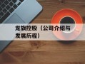龙旗控股（公司介绍与发展历程）