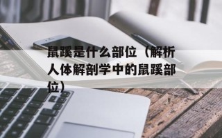 鼠蹊是什么部位（解析人体解剖学中的鼠蹊部位）