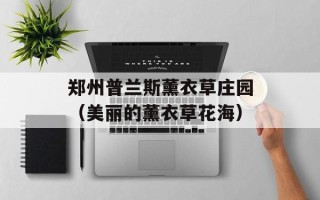 郑州普兰斯薰衣草庄园（美丽的薰衣草花海）