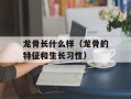 龙骨长什么样（龙骨的特征和生长习性）