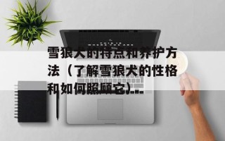 雪狼犬的特点和养护方法（了解雪狼犬的性格和如何照顾它）