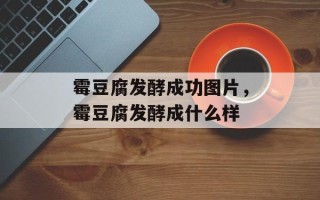 霉豆腐发酵成功图片，霉豆腐发酵成什么样