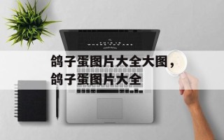鸽子蛋图片大全大图，鸽子蛋图片大全