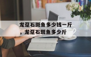 龙趸石斑鱼多少钱一斤，龙趸石斑鱼多少斤