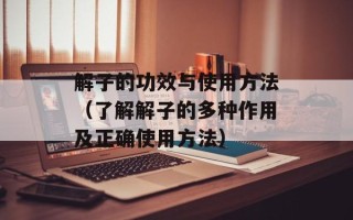 解子的功效与使用方法（了解解子的多种作用及正确使用方法）