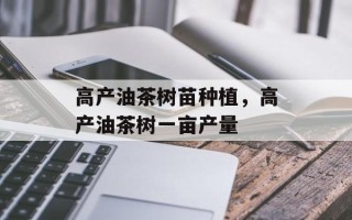 高产油茶树苗种植，高产油茶树一亩产量