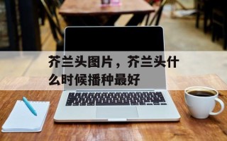 芥兰头图片，芥兰头什么时候播种最好