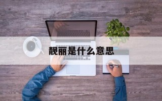 靓丽是什么意思