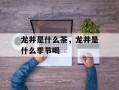 龙井是什么茶，龙井是什么季节喝