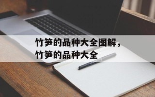 竹笋的品种大全图解，竹笋的品种大全