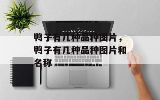 鸭子有几种品种图片，鸭子有几种品种图片和名称