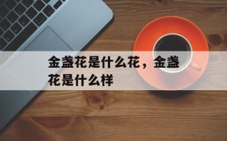 金盏花是什么花，金盏花是什么样