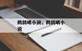 鹧鸪哨小说，鹧鸪哨小说